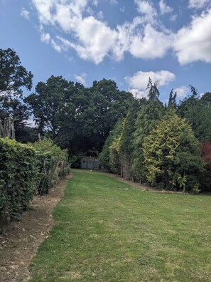 Un’area erbosa con un piccolo edificio, circondata da alberi fitti e un cielo sereno.