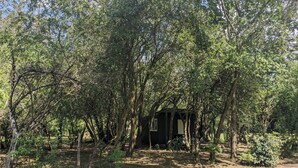A rustic cabin surrounded by dense trees in a forested area.