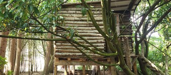 Tree House at The Secret Garden
