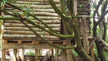 Una estructura de madera rústica con techo inclinado, rodeada de árboles.