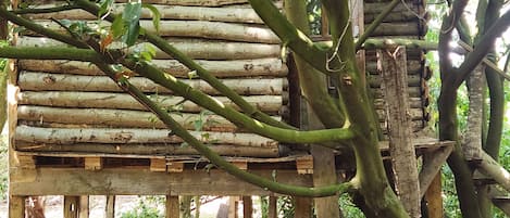 A rustic wooden structure with a sloped roof, surrounded by trees.
