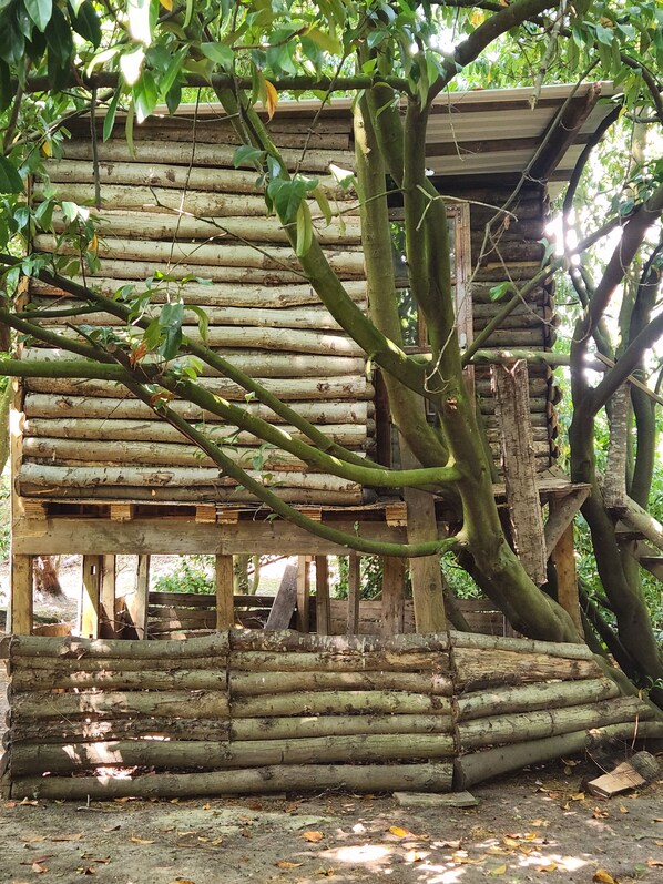 A rustic wooden structure with a sloped roof, surrounded by trees.