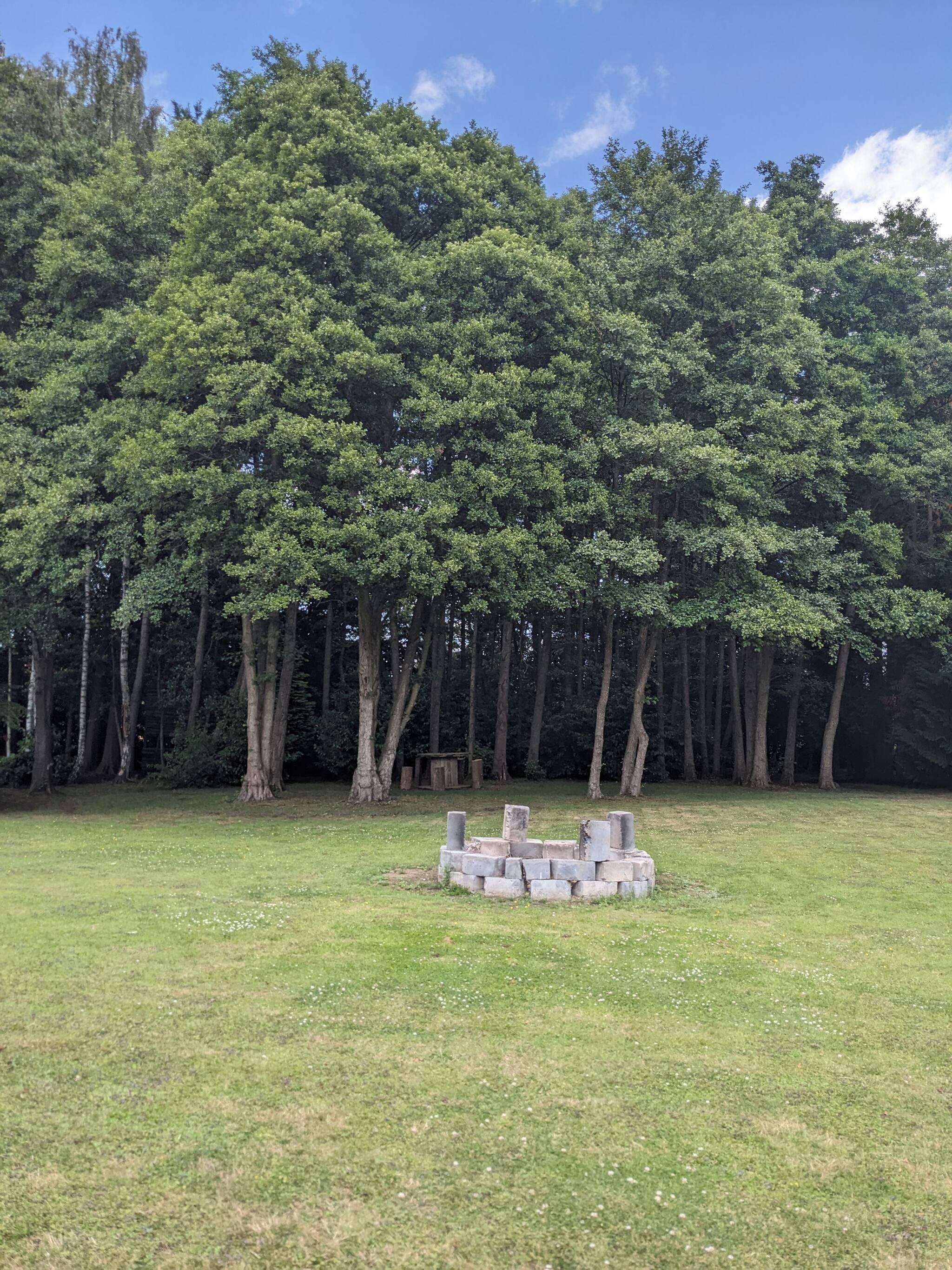 Un champ herbeux avec une structure en pierre au centre, entouré d’une forêt dense.