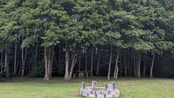 Un champ herbeux avec une structure en pierre au centre, entouré d’une forêt dense.