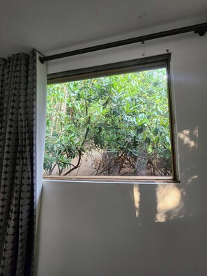 Una finestra amb vista a un bosc frondós.