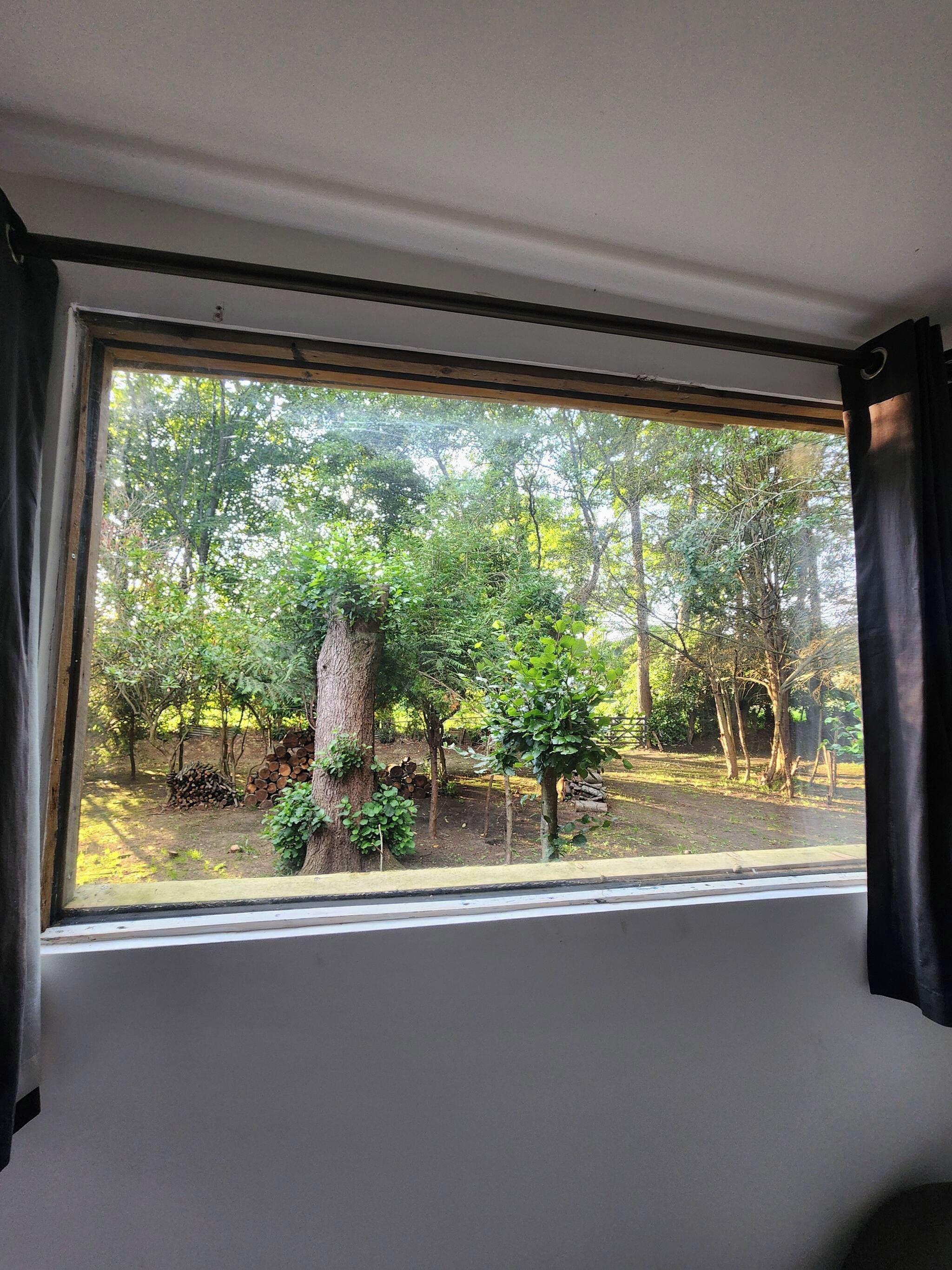 Ein Zimmer mit einem großen Fenster, das auf einen Garten mit Bäumen und einem Holzstapel blickt.