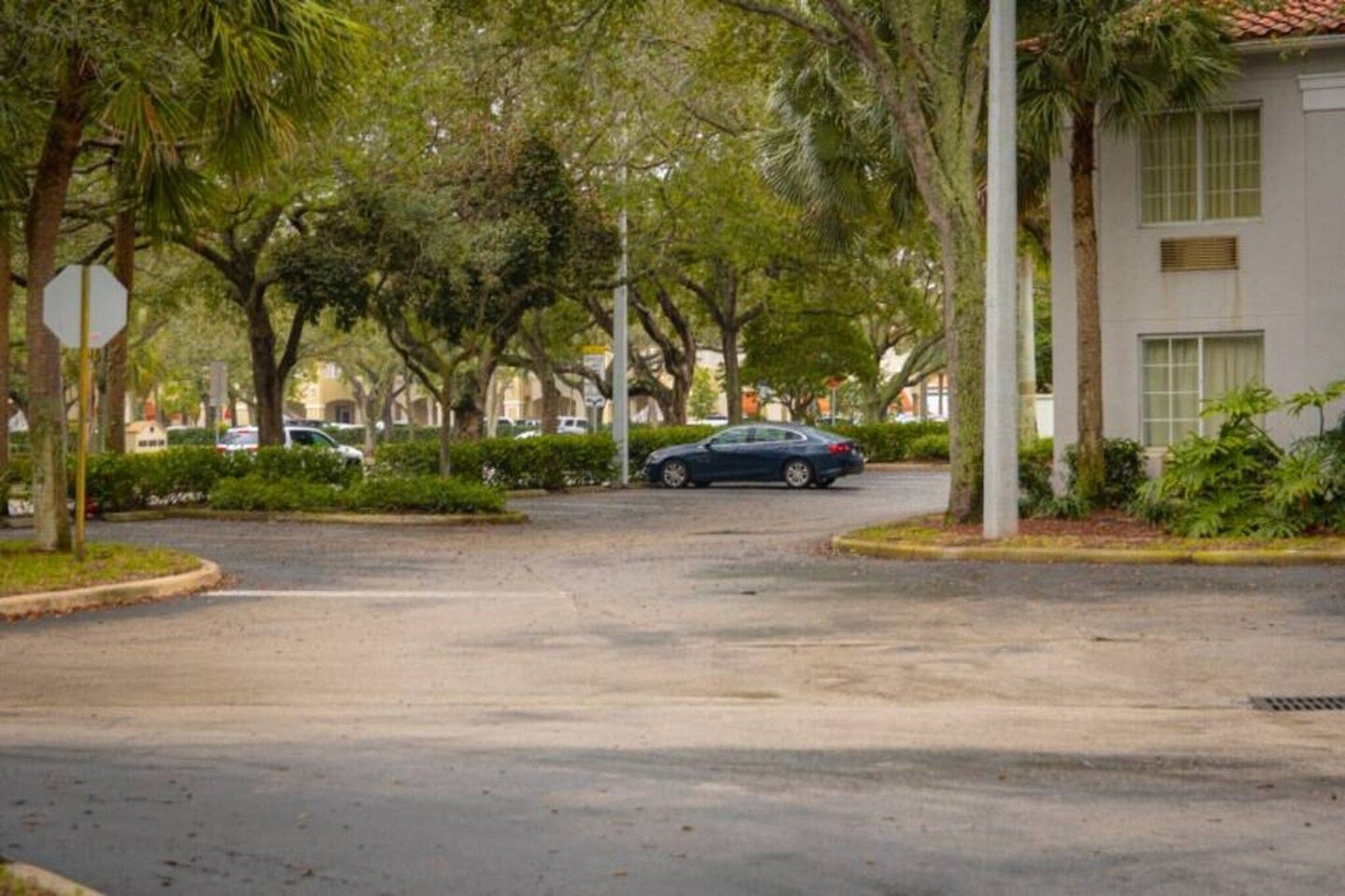 A residential street with a parked car, trees, and a building with a white facade.