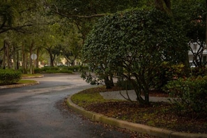 Una carretera sinuosa en un entorno similar a un parque, con árboles y un edificio al fondo.