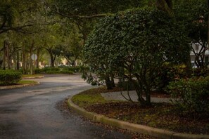 A curved road in a park-like setting with trees and a building in the background. - 2 Queen Beds|ADA|Roll-In Shower,Nsmk (Coral Springs)