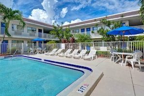 A swimming pool with lounge chairs and umbrellas, surrounded by a fenced area with a building in the background.