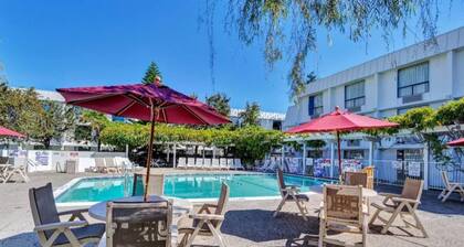 2 Queen Beds | Redwood City