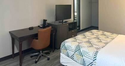 1 King Bed | Non-Smoking, Micfridge