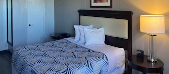 1 King Bed|Non-Smoking,Kitchen