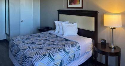 1 King Bed|Non-Smoking,Kitchen