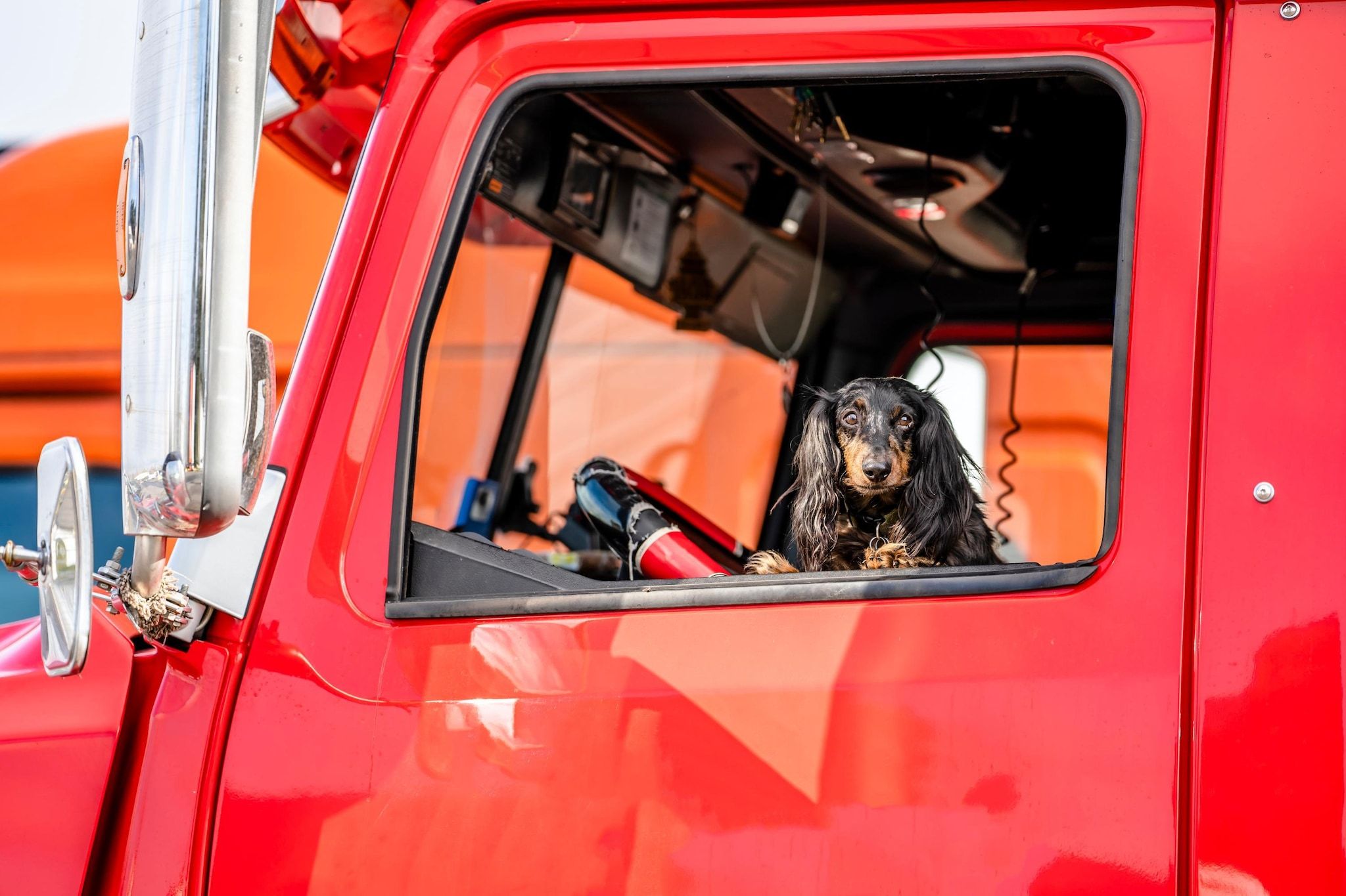Ein roter Lastwagen mit einem Hund in der Fahrerkabine.