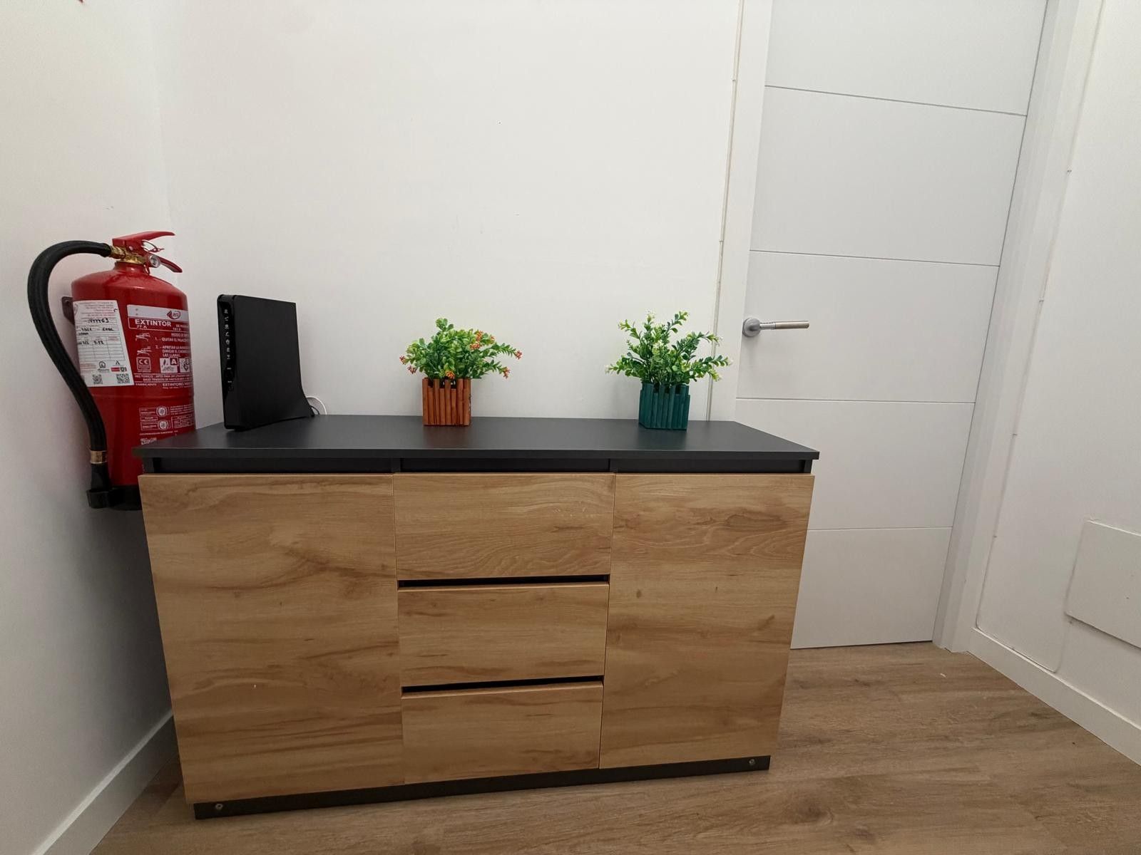 Un mueble de madera con superficie negra, un extintor a la izquierda y dos plantas en macetas encima.