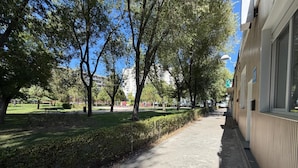 Caminho pavimentado com árvores e um edifício ao lado.