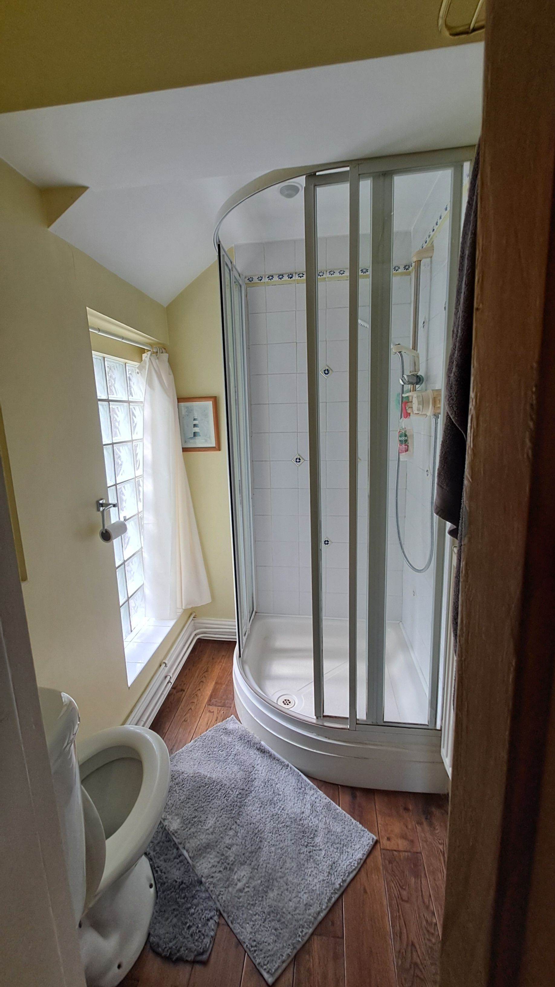 A bathroom with a shower enclosure, toilet, and a window with curtains.