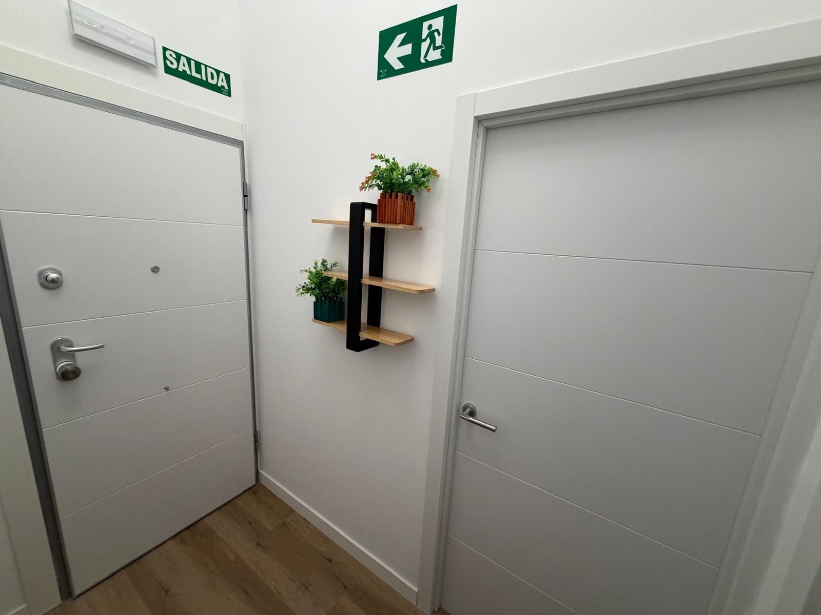 A hallway with a SALIDA sign, a directional EXIT sign, and a shelf with plants.