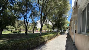 Un sendero pavimentado bordeado de árboles y un edificio a un lado.