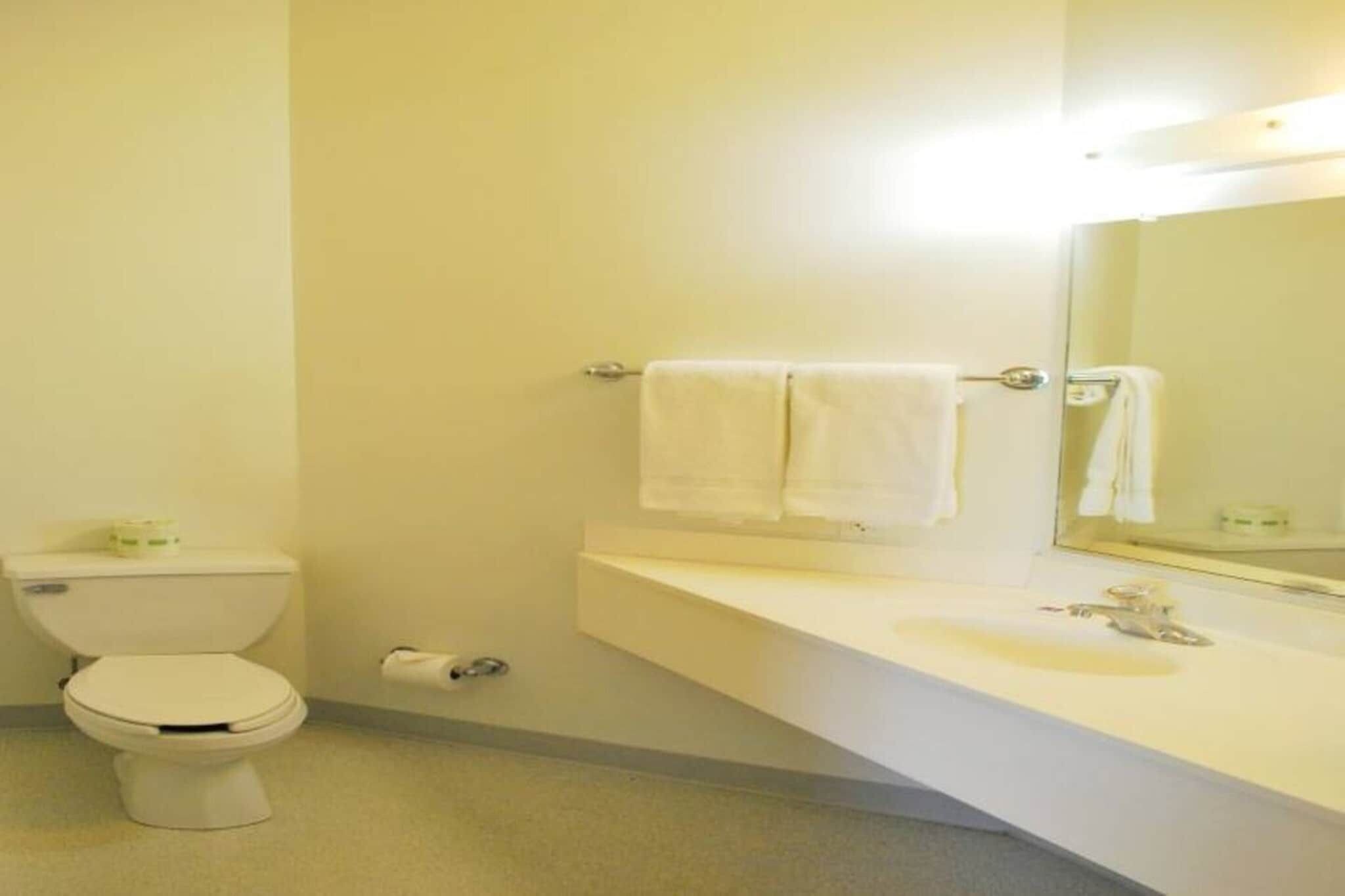 Une salle de bain d’hôtel standard, équipée de toilettes, d’un lavabo et d’un miroir.