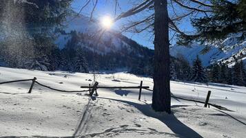 Schneeverdeckte Landschaft mit einem Baum und einem Zaun.