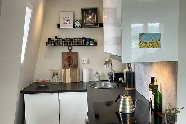 Kitchen area with cooktop, stove and a smaler fridge