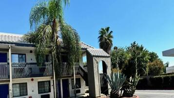 A multi-story building with balconies, a palm tree, and a pineapple plant in the foreground.