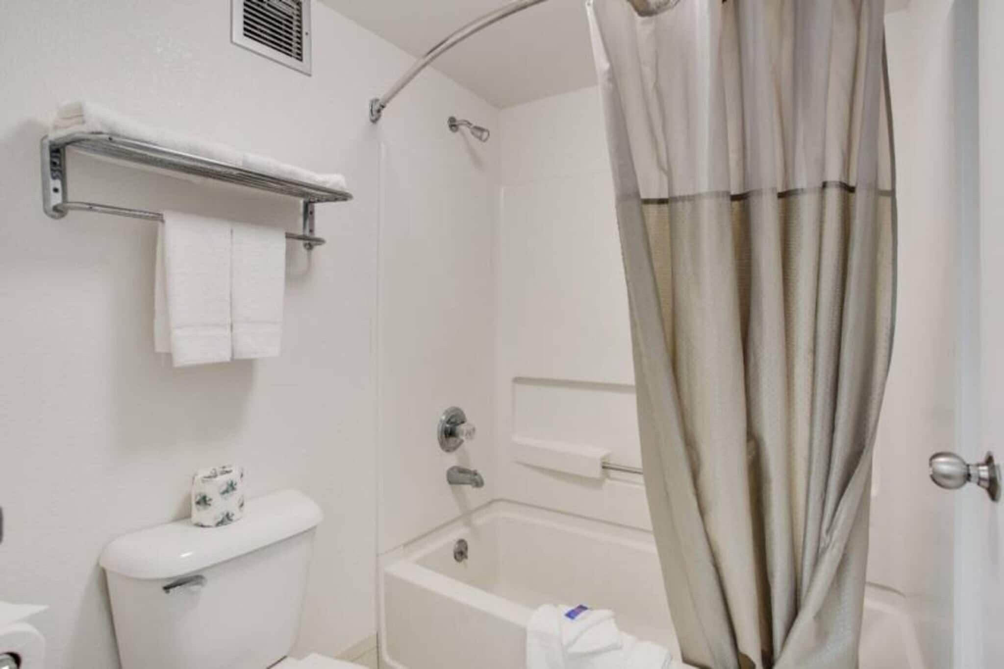 A bathroom with a toilet, a shower, and a bathtub.