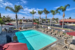 A swimming pool with lounge chairs and umbrellas, surrounded by palm trees and a clear sky. - 2 Full Bed|Premium,Mini Fridge (Stanton)