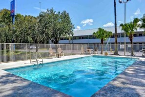 Una piscina rectangular con cerco blanco, sillas de descanso y una palmera al fondo.