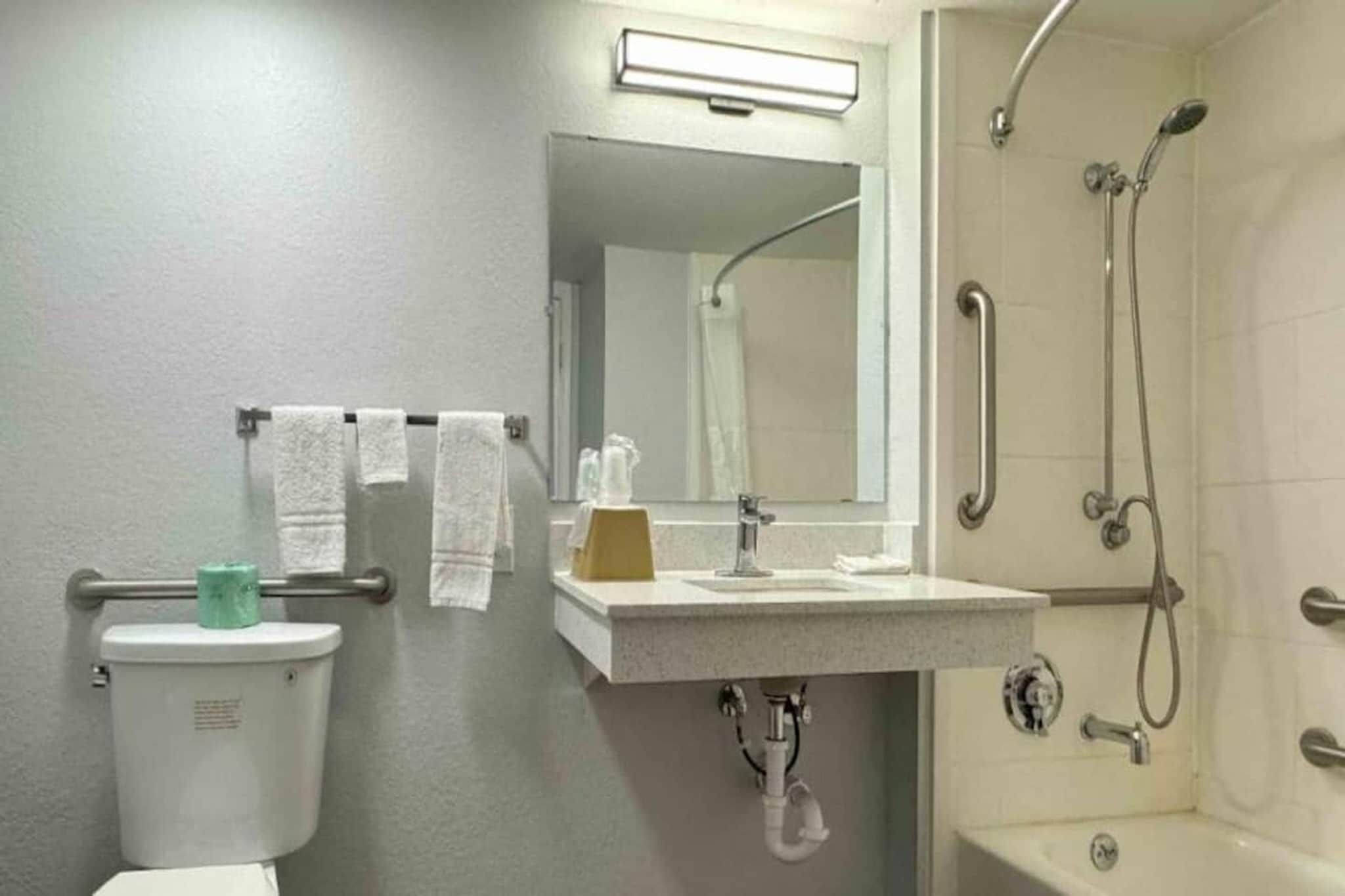 Een badkamer met toilet, wastafel, spiegel en douche.
