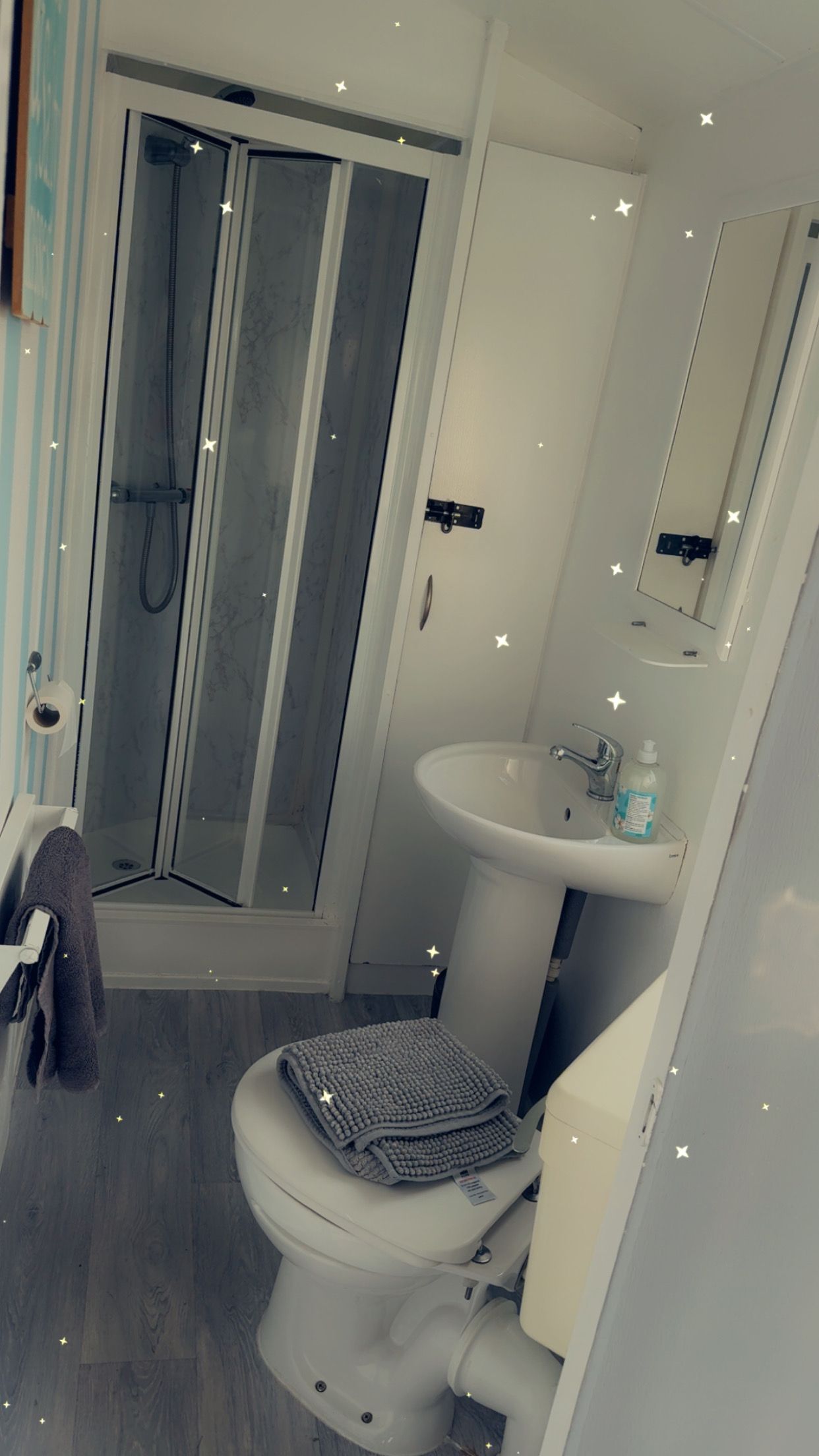 A bathroom with a shower, toilet, sink, and mirror.