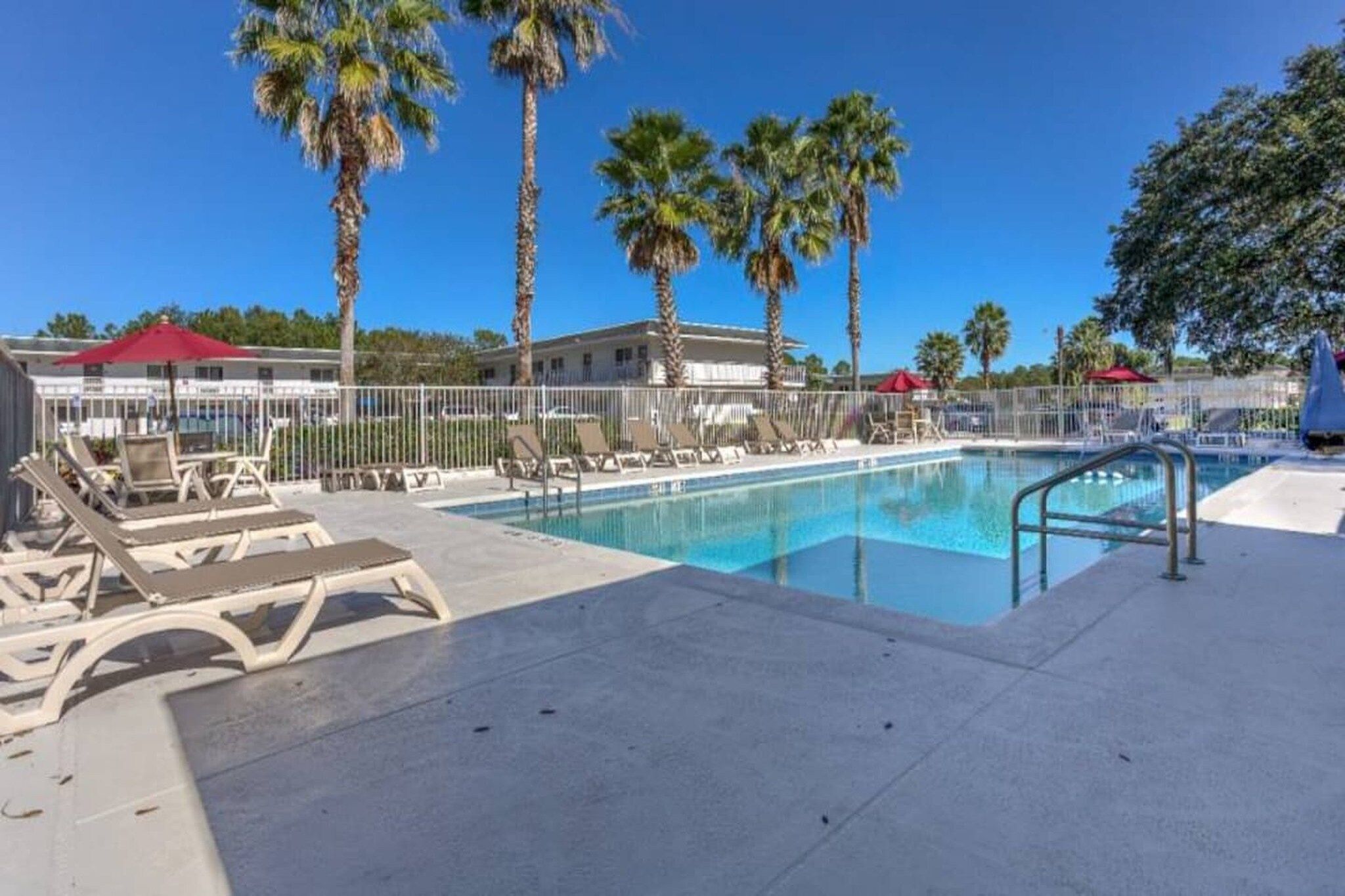Une piscine avec des chaises longues et des palmiers.