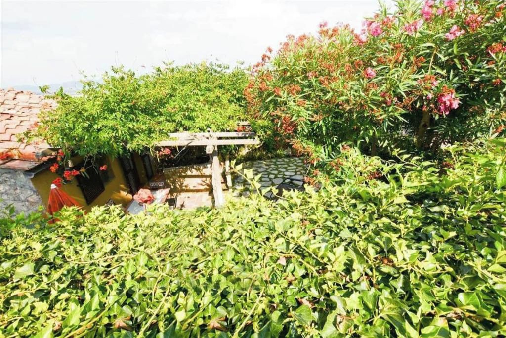 Um jardim com um lago ornamental, uma pérgula de madeira e diversas plantas.