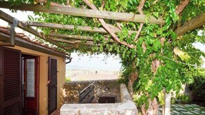 Property grounds - Rosi's Terrazzino – Relaxation and an Authentic Atmosphere in the Village (Castiglione della Pescaia)