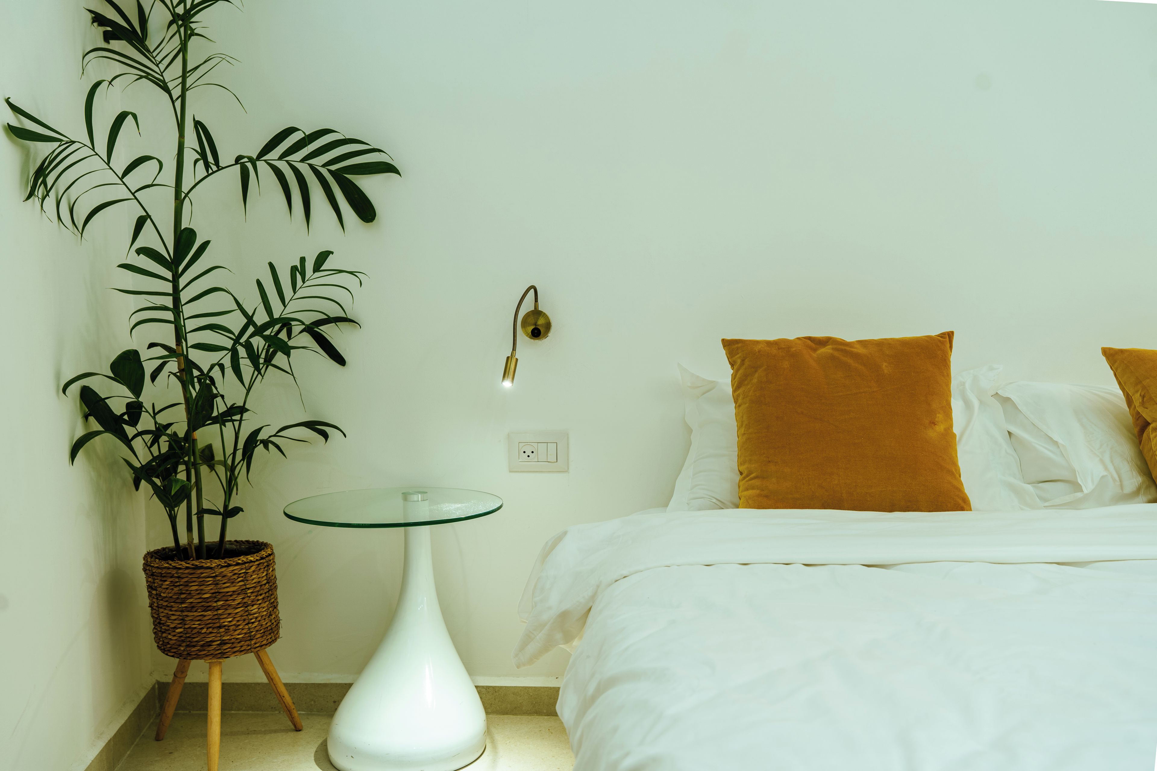 Un dormitorio con cama, mesita de noche, lámpara, enchufe y una planta en maceta.