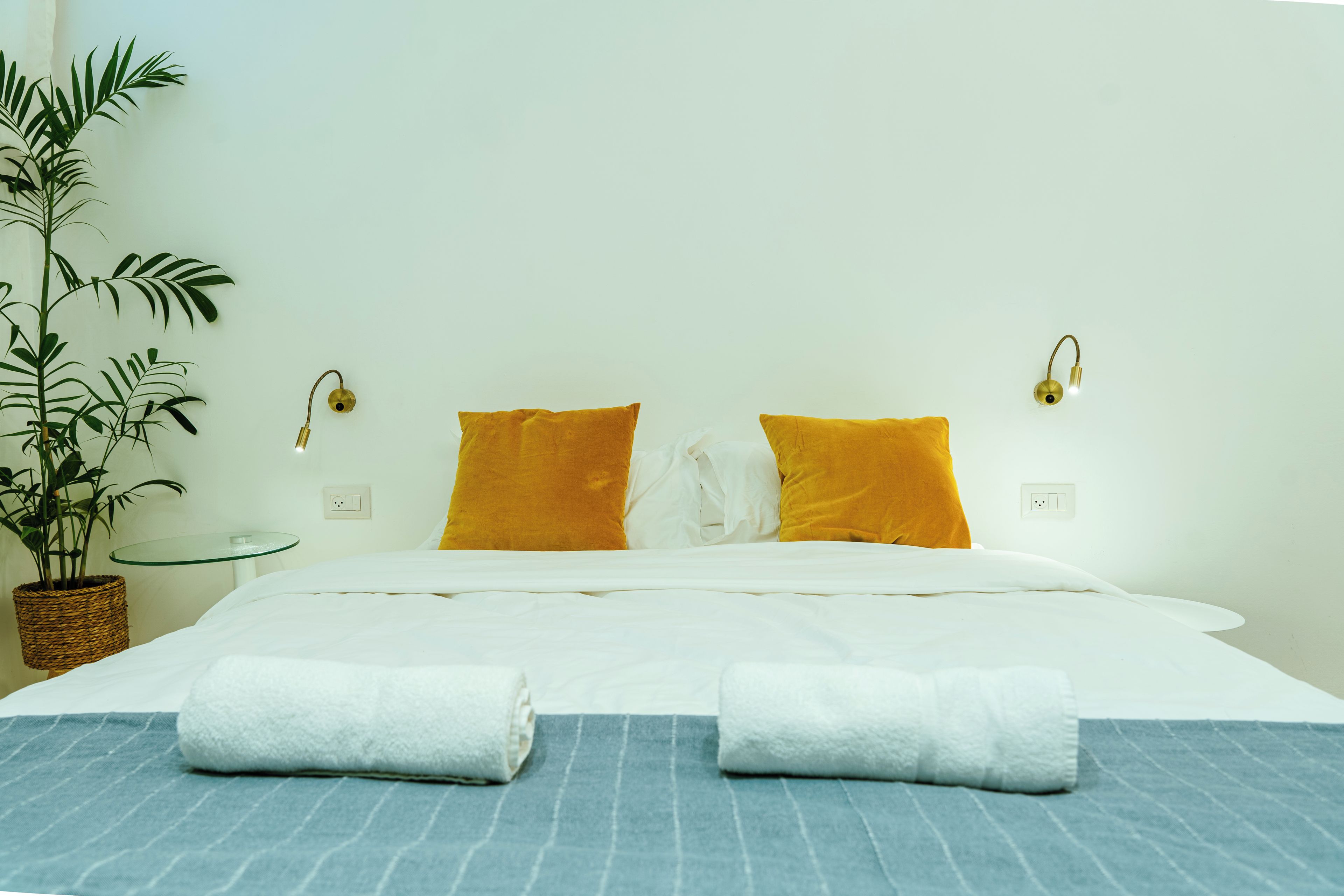 Une chambre d’hôtel avec un lit, deux oreillers, une table de chevet, une lampe, une plante en pot et une couverture à rayures bleues.