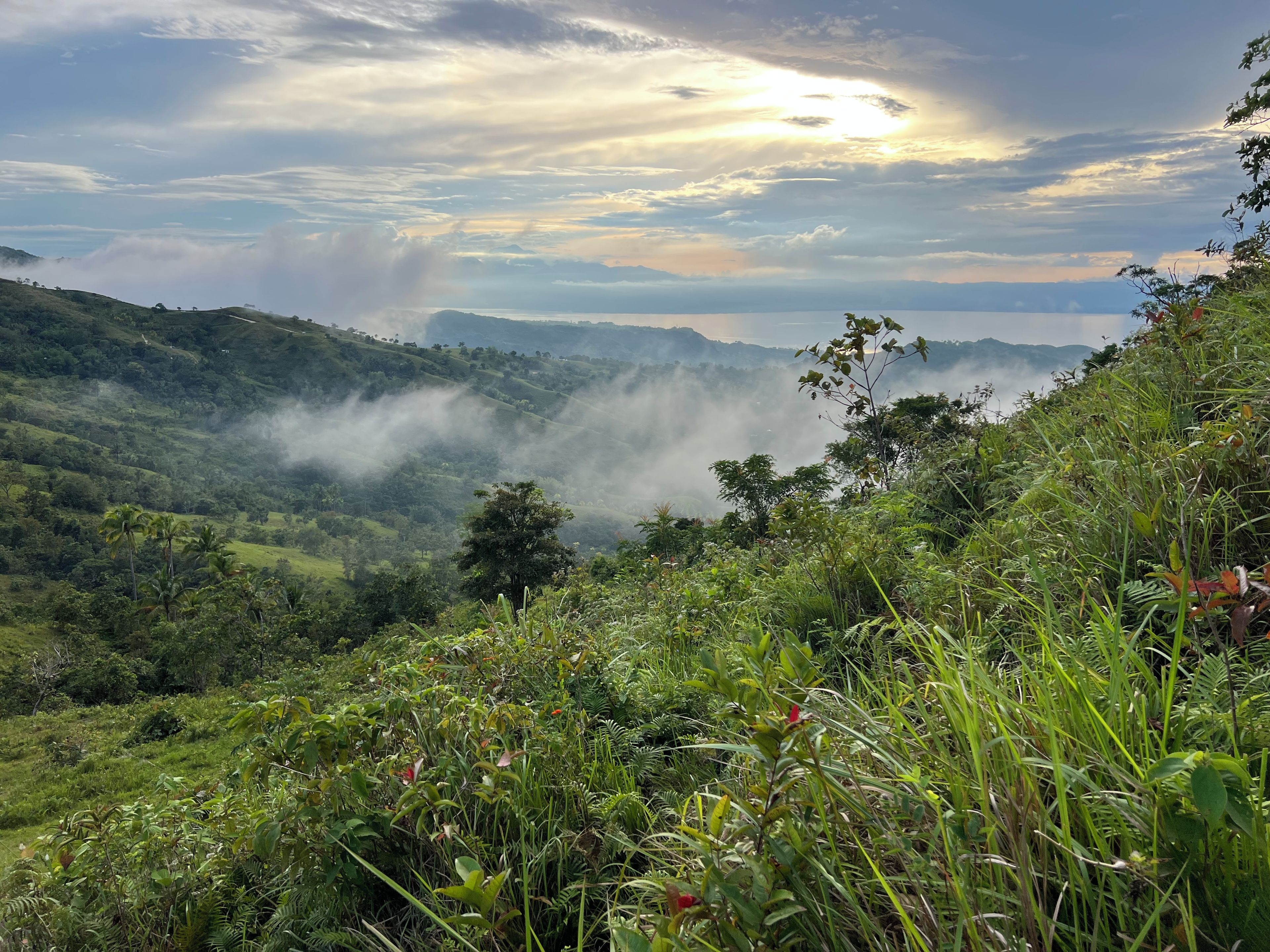 Un paysage verdoyant et luxuriant, avec des collines douces et une vallée embrumée.