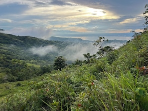 A lush green landscape with rolling hills and a misty valley.