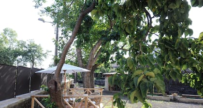 MONUCU DI SUPRA Vacation Home on Mount Etna in Fornazzo: Forests and Relaxation Near Taormina