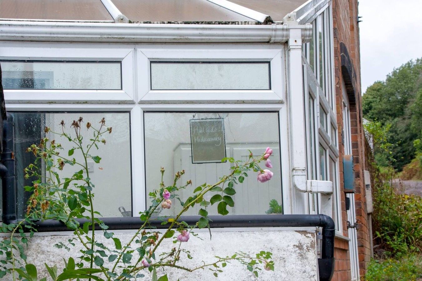 A window with a view of a garden, a white door, and a brick wall.