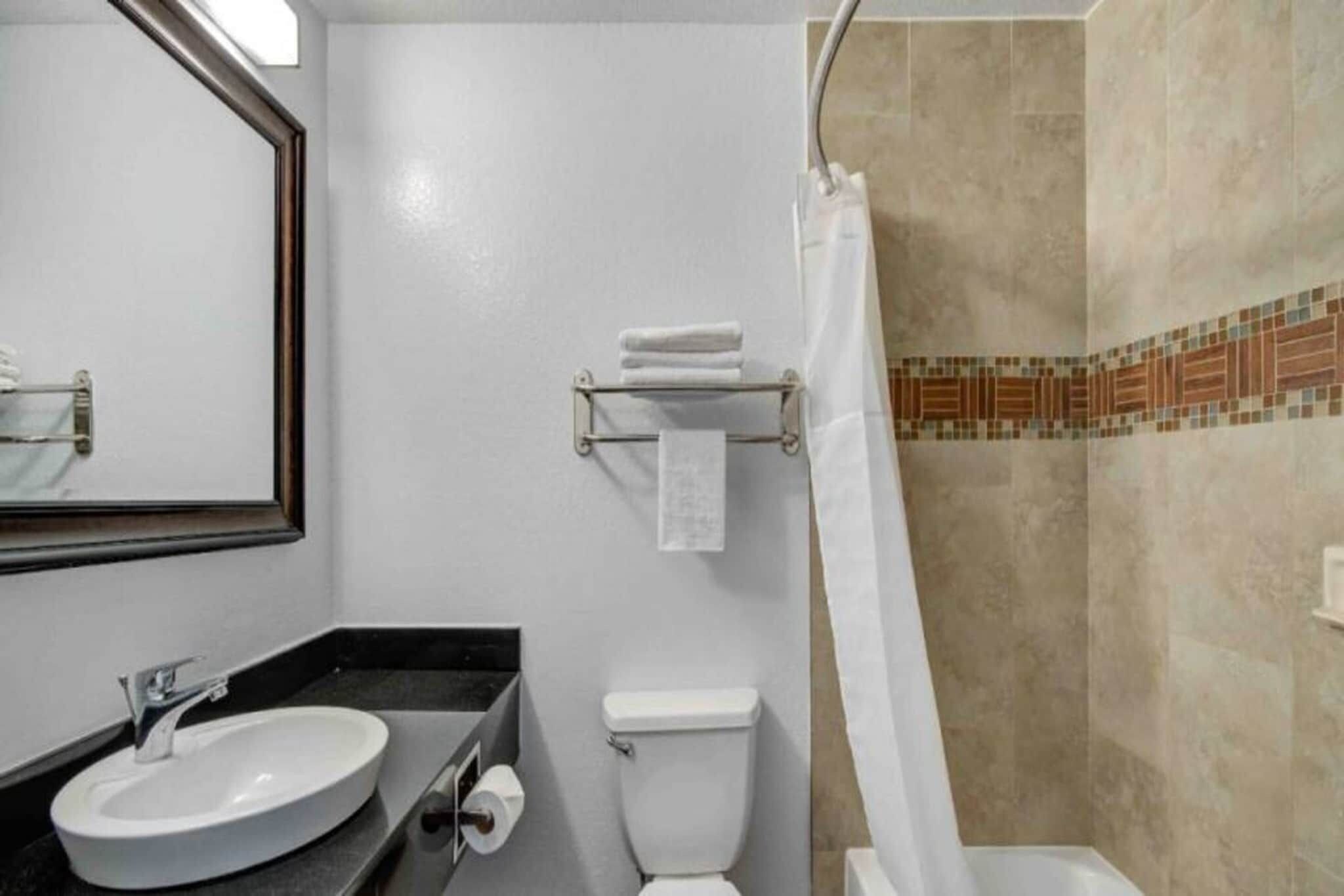 Une salle de bain avec un lavabo, des toilettes et une douche.