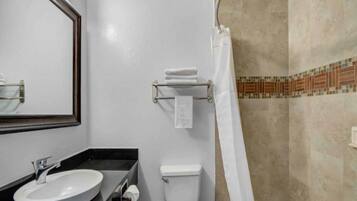 Une salle de bain avec un lavabo, des toilettes et une douche.