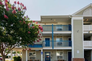 Un edificio de varios pisos con oficinas en la planta baja, barandilla azul en el segundo nivel y un árbol con flores rosadas al frente.