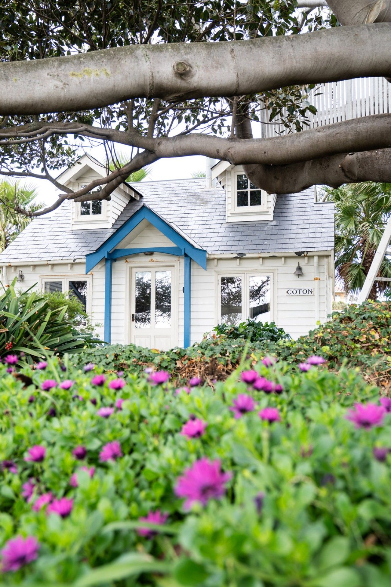 A house with a blue front door, a nameplate reading 'COTON,' and a garden with purple flowers.