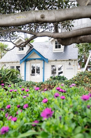 A house with a blue front door, a nameplate reading 'COTON,' and a garden with purple flowers. - Beachfront Cottage - COTON COTTAGE - Sleeps 6! (Portarlington)