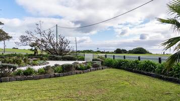 A landscaped garden with a curved pathway, a variety of plants, and a white fence.