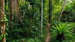 A narrow dirt path surrounded by dense tropical vegetation. - PiyaSewana Spice Garden Villa is located close to Colombo Katunayake Airport, (Banduragoda)