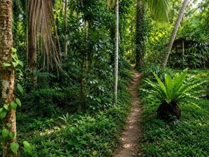 A narrow dirt path surrounded by dense tropical vegetation. - PiyaSewana Spice Garden Villa is located close to Colombo Katunayake Airport, (Banduragoda)